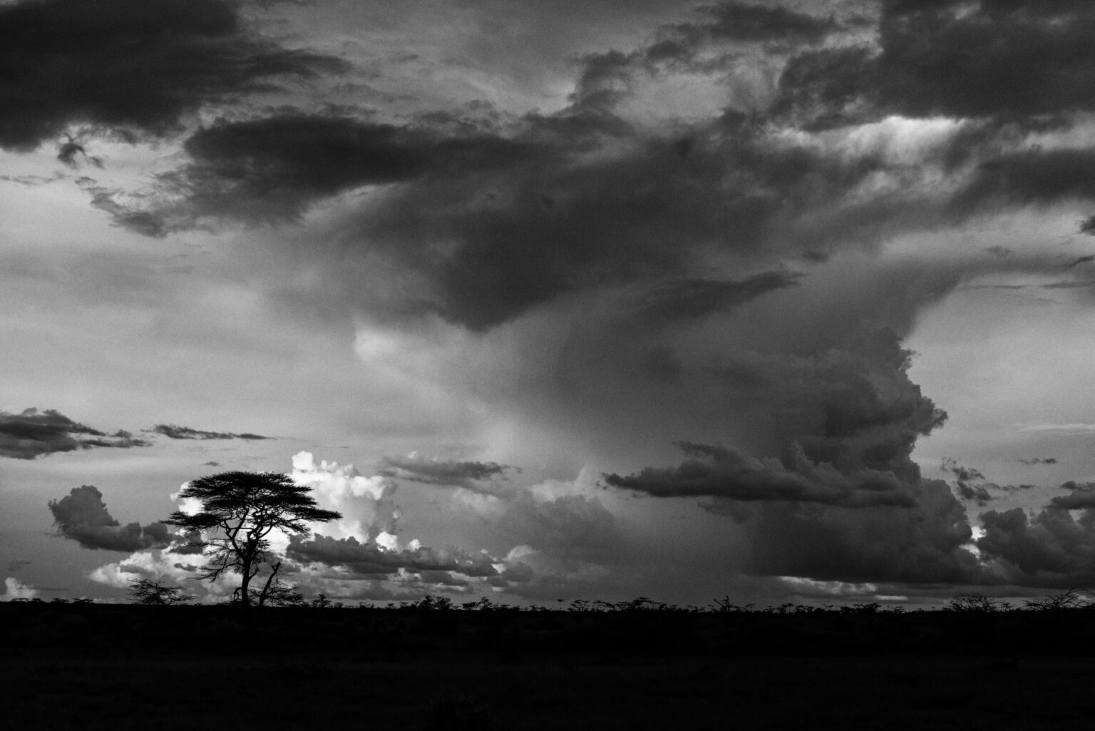 _TRE6439 ciclone 01jpg